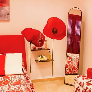 Apartament A Casa Di Alice Locazione Turistica 